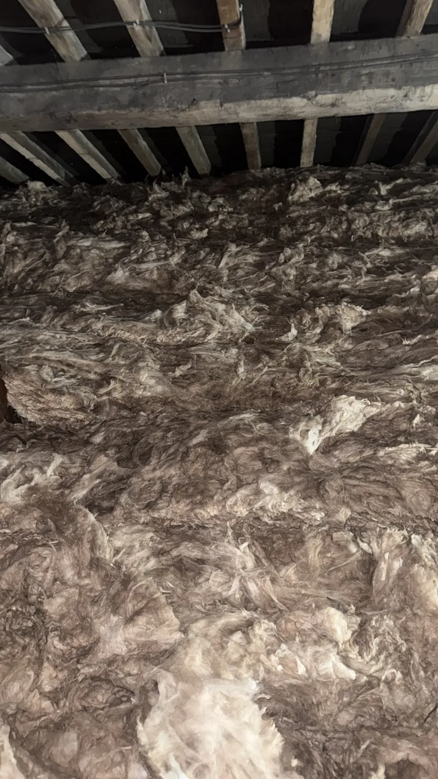 New Knauf mineral wool loft insulation laid deep across a Denbigh loft