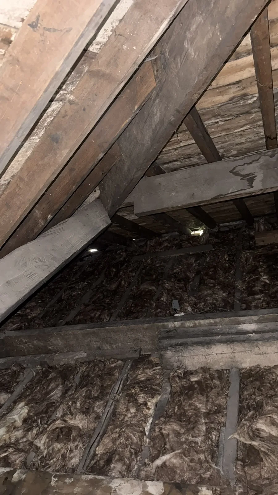 First layer of new mineral wool laid between the joists in a Macclesfield loft
