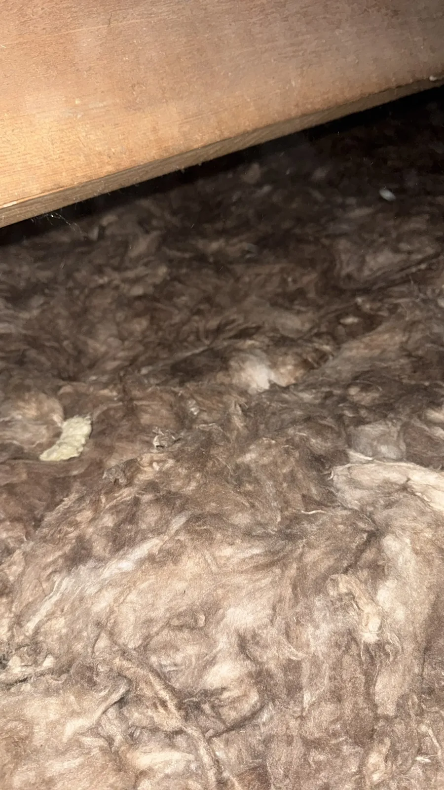 New Knauf mineral wool loft insulation laid in an eaves space in Morley