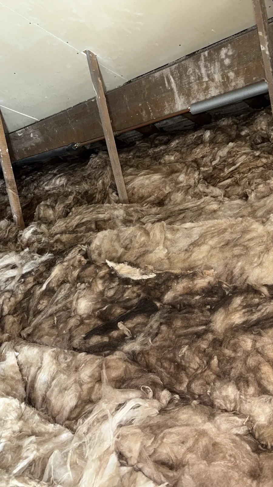 New 300mm loft insulation going down in a Northwich loft