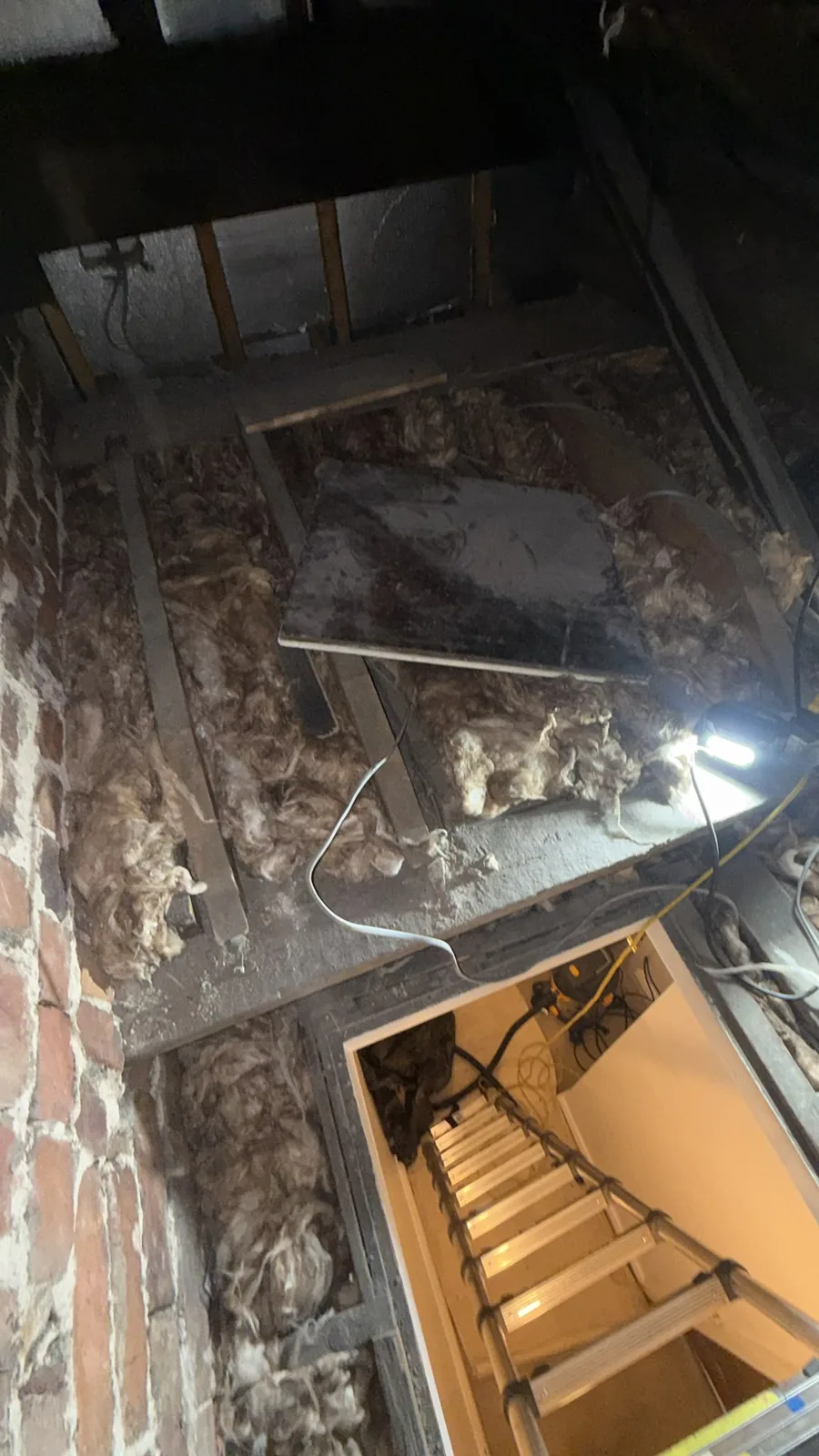 Old loft insulation around the loft hatch in Worsley, Salford before it was replaced