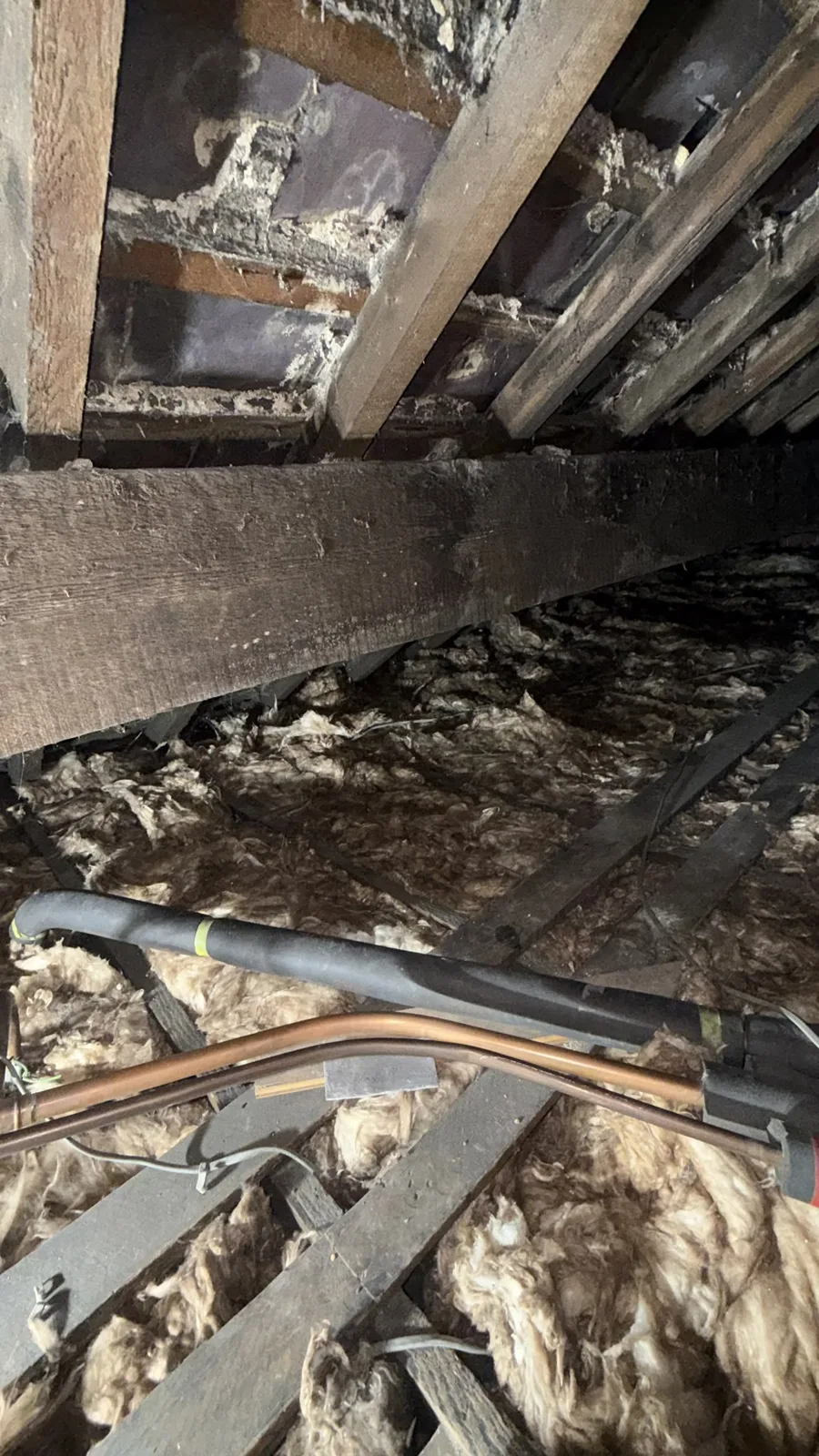 Old, dirty loft insulation between the joists of a Salford loft before loft insulation removal