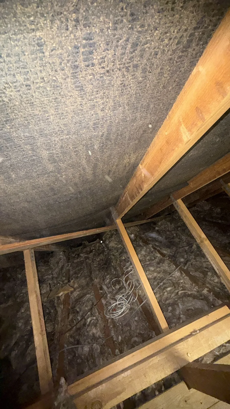 Old loft insulation between the joists in a Sandbach loft before removal