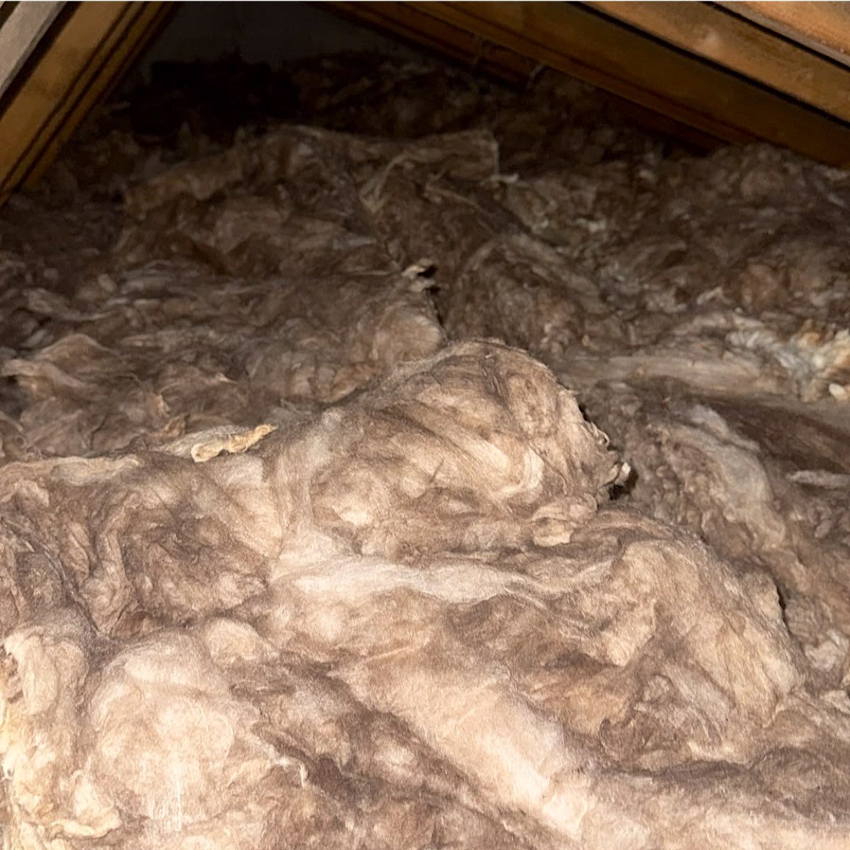 Deep new mineral wool insulation laid across a loft in Southam