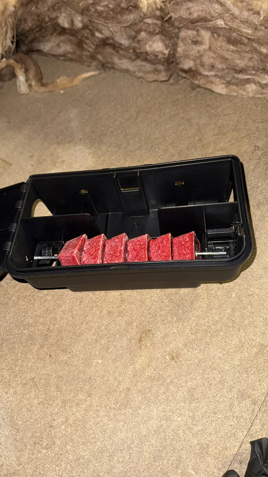 Rodent bait station placed in a Walsall loft during loft insulation work