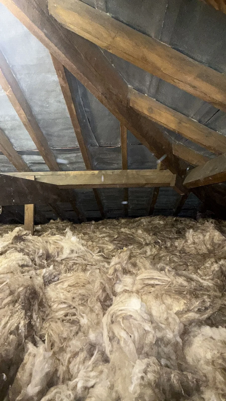Beverley loft after spray foam removal with rafters cleared and new mineral wool on the floor