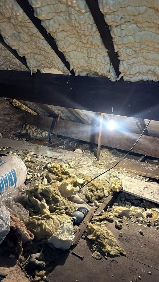 Open cell spray foam covering the underside of a loft roof in Burnley, before removal