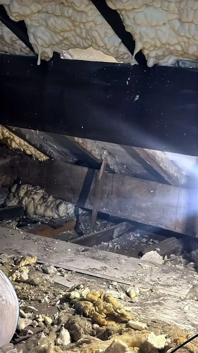 Spray foam hanging between the rafters of a Burnley loft, before removal