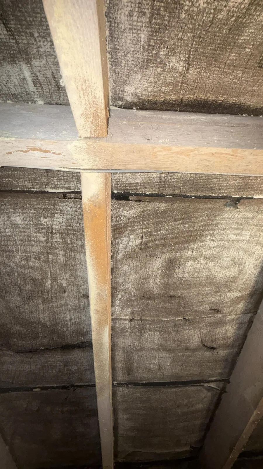 Bitumen roofing felt and rafters left clean after spray foam removal in Chorley