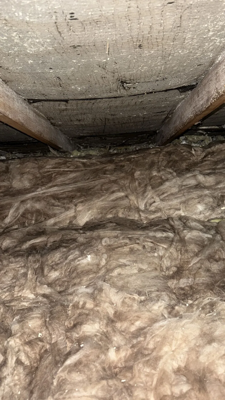 Mineral wool insulation on the loft floor after spray foam removal in Coventry