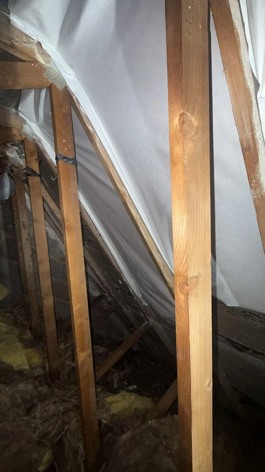 Roof timbers visible again after spray foam removal in a Coventry loft