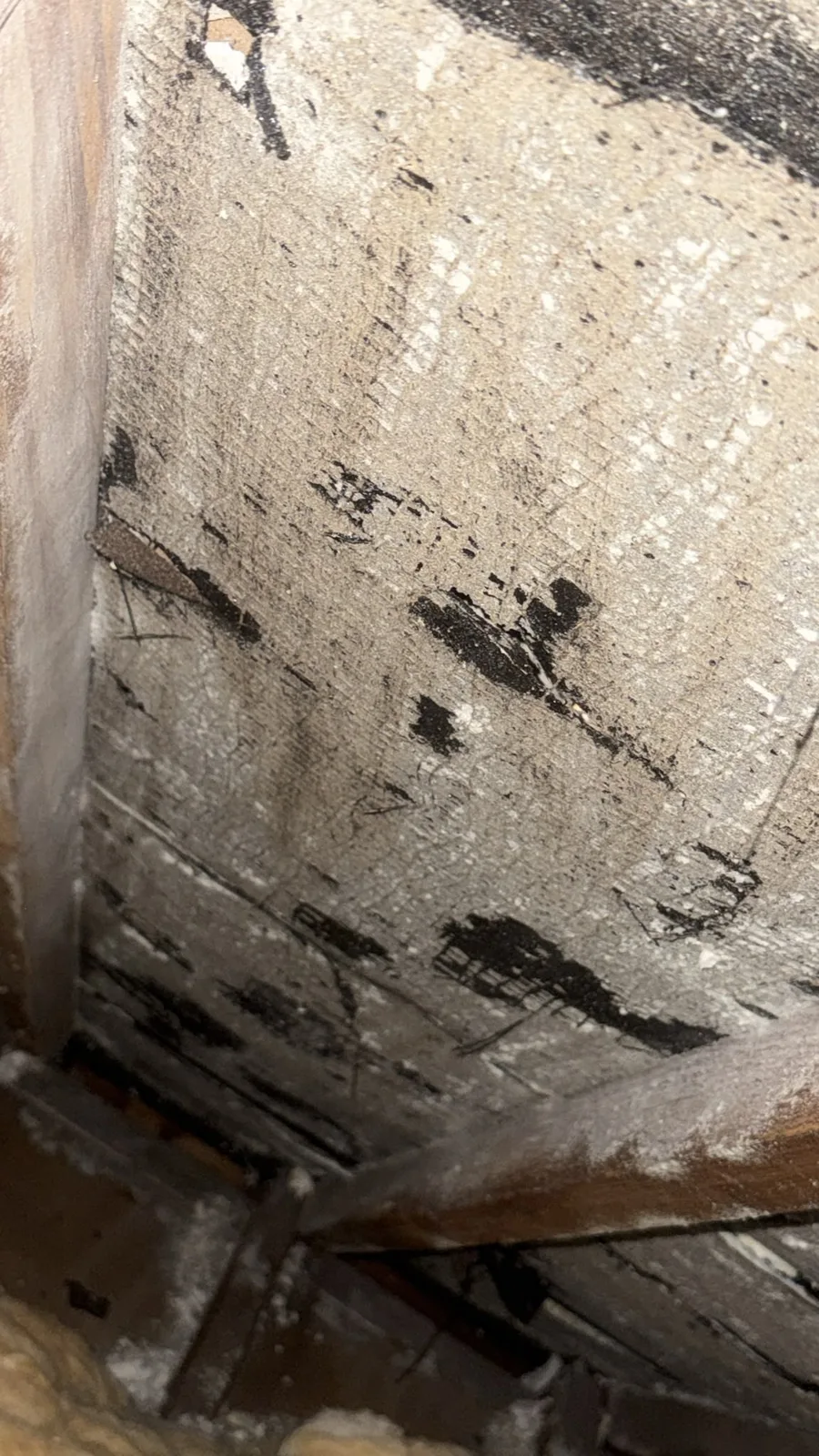 Close up of bitumen felt in a Shrewsbury loft after open cell spray foam removal
