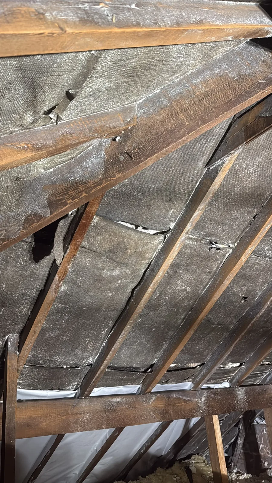Roof rafters and bitumen felt on show after spray foam removal in Bilston, Wolverhampton