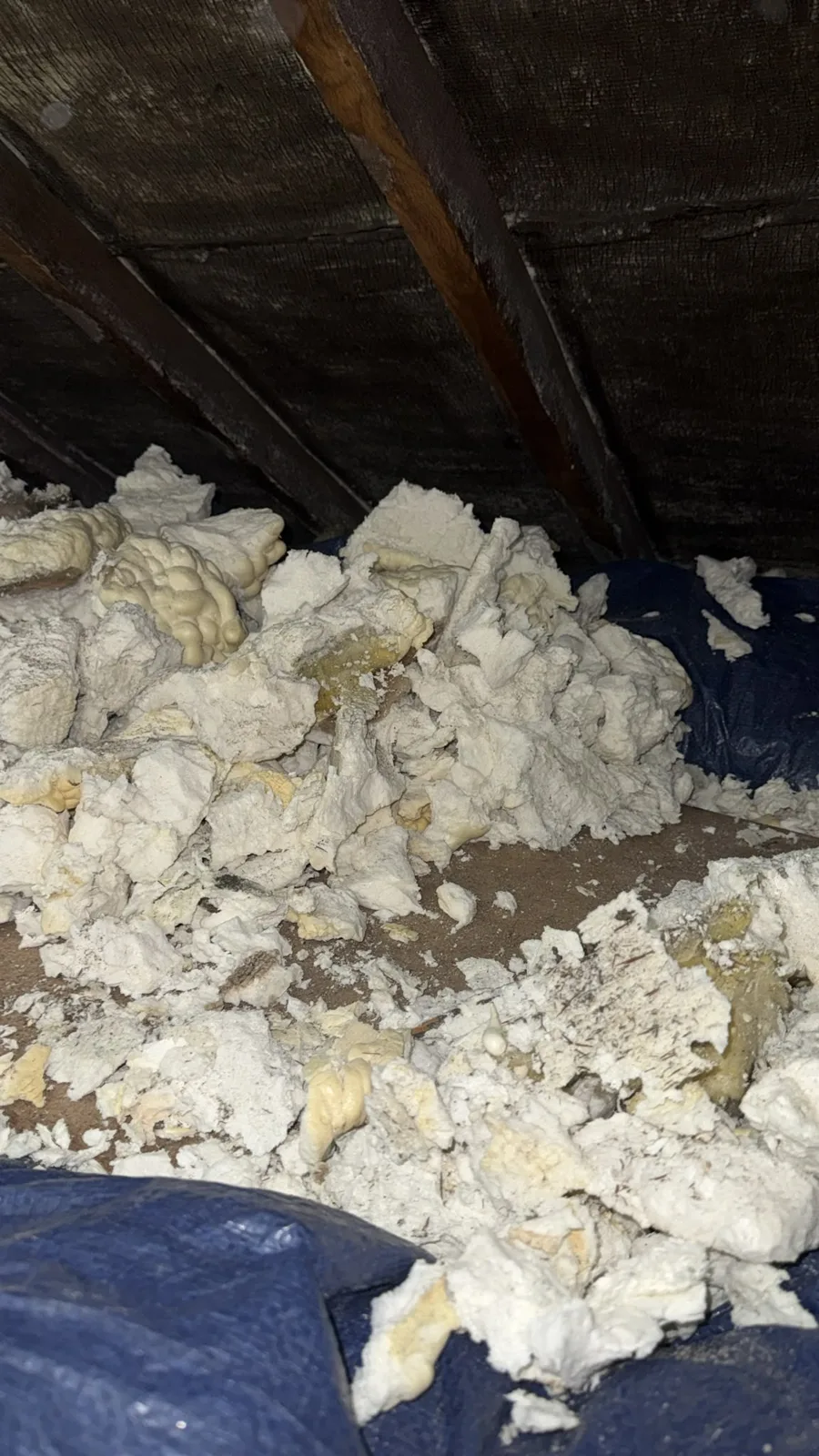 Open cell spray foam removed and piled on sheeting during removal in a Wolverhampton loft
